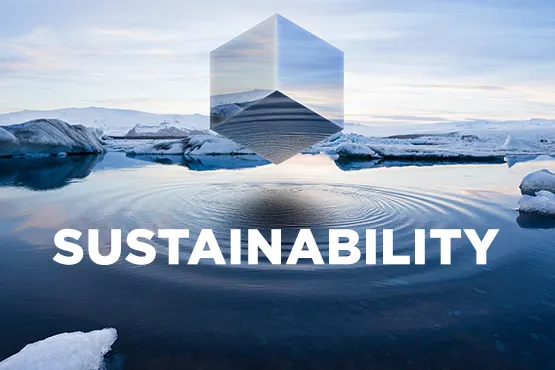 Sustainability